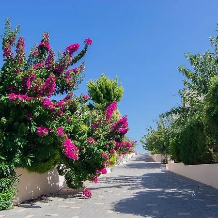 Villa Selini Villas *